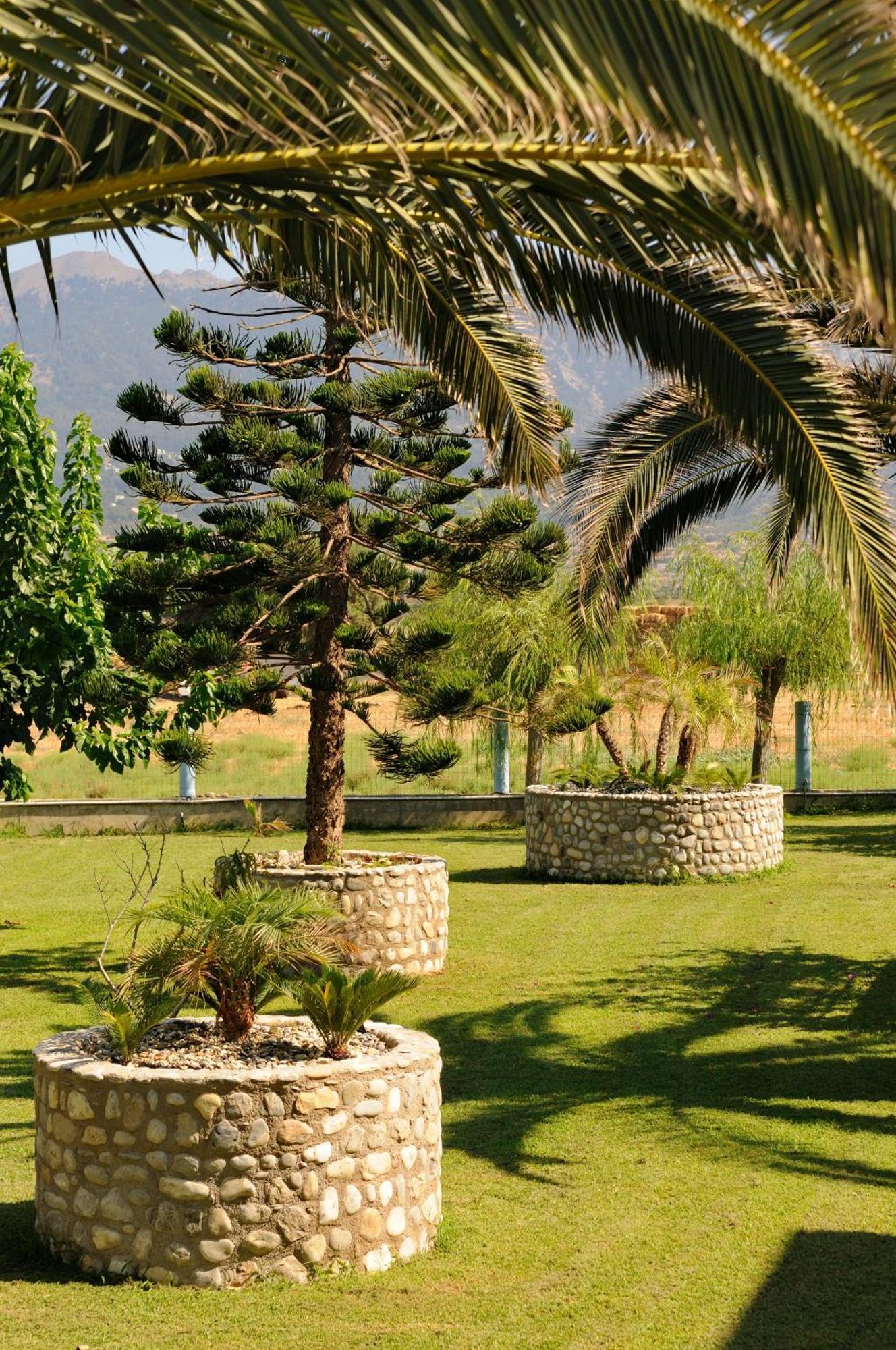 Akti Dimis Hotel Tigkaki  Bagian luar foto